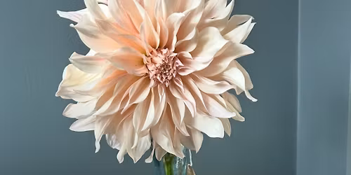 Alfreton Indoor Market