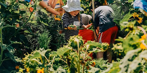 Little Farmers 7\/20\/26