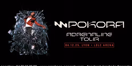 M Pokora \u00e0 la LDCL Arena de Lyon