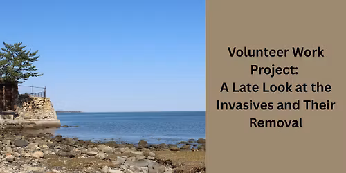 Volunteer Work Project: A Late Look at the Invasives and Their Removal