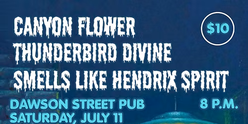 Thunderbird Divine \/ Smells Like Hendrix Spirit \/ Canyon Flower at Dawson Street Pub!