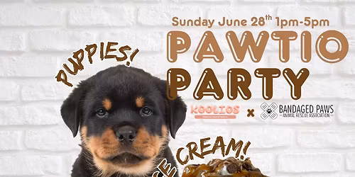 Pawtio Party