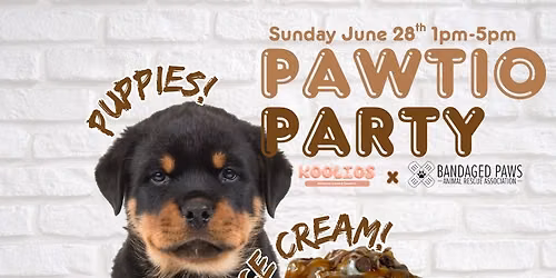 Pawtio Party