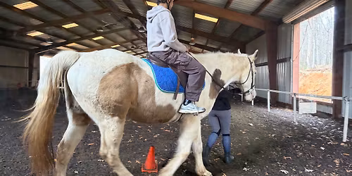 Summer Horse Camps! Beginner to Advanced