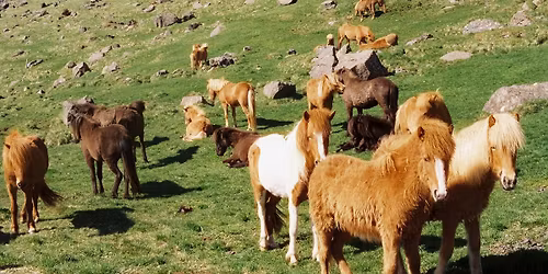 Book Launch: All Is Full of Love by Bryanna Bennett