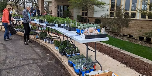 Cottage Grove Abiding Shepherd Plant Sale