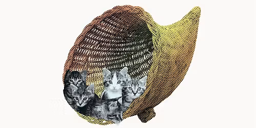 FURRIENDS-GIVING: a supportive gathering for neurodivergent KY artists