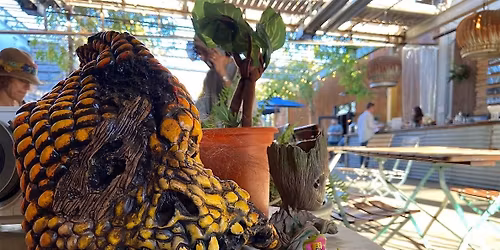Spooky Plant Trivia