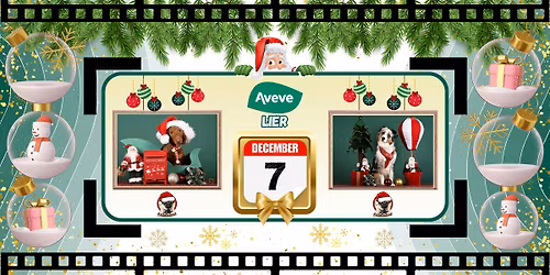 AVEVE LIER FOTOSHOOT