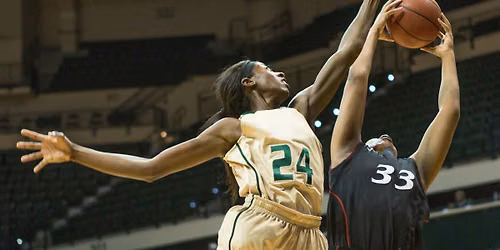 Arkansas Pine Bluff Golden Lions at South Florida Bulls Womens Basketball