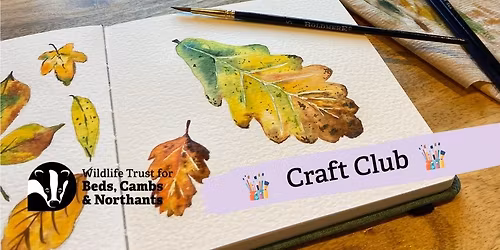 Northants Nature Girls: Craft Club (November)