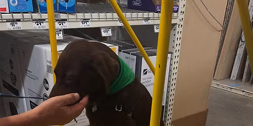 2026 4-Week Group Class Starts Jan 10th @ $199