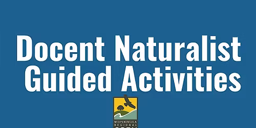 Whooo's That? Owls of the Redwoods