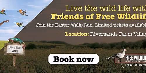 Easter Egg Fun Run\/Walk