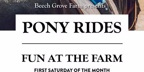 Fun at the Farm Pony Rides