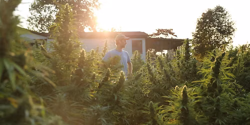 Lancaster Farming + Sunflower present One Plant