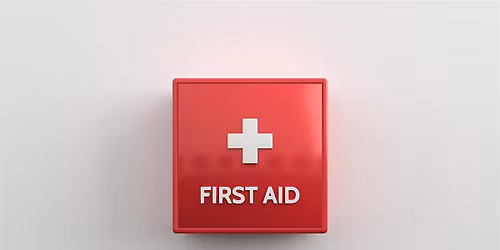 Paediatric First Aid 12hr Blended Learning Training PFA 10
