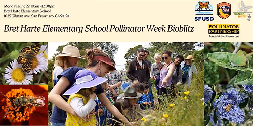 Pollinator Week Bioblitz at Bret Harte Elementary School