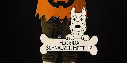 Florida Schnauzer Halloween meet up