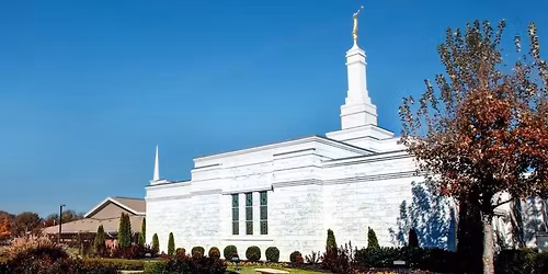 Singles temple trip and dinner