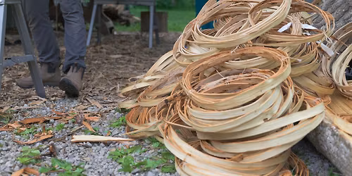 Hickory Bark Harvest