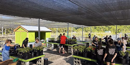 Tree Nursery Volunteer Day | General Public (8\/28\/26)