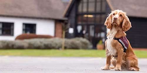 Hearing Dogs Tour & Demo 6th October 2026