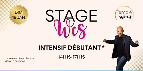 Stage de WCS D\u00e9butant+