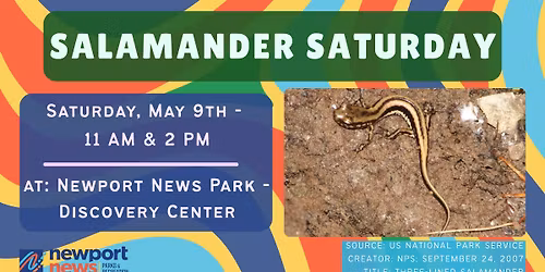 Salamander Saturday