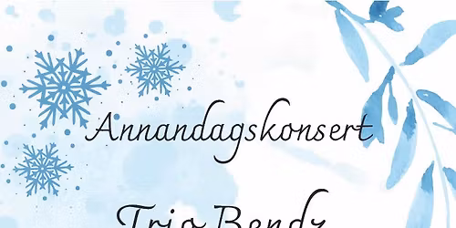 Julkonsert - Trio Bendz m\u00f6ter Trio Salsta