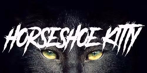 Horseshoe Kitty Live at Andy D's on Navarre Beach!