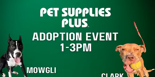 Pet Supplies Plus Adoption Event