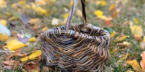 Willow Melon Basket