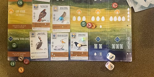 Ecology Board Game Cafe