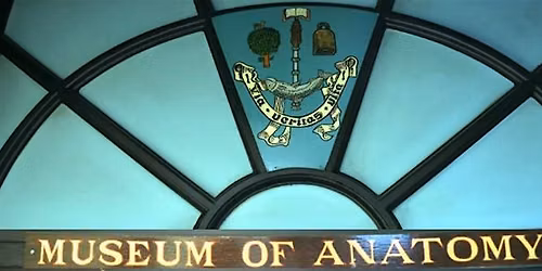 Hunterian Anatomy Museum Monthly Opening