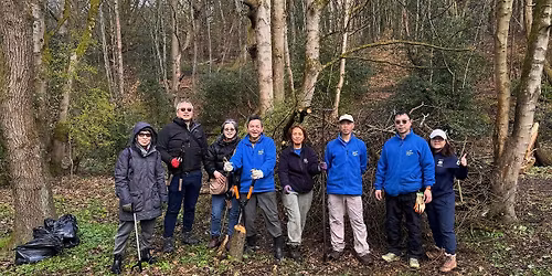 Kersal Dale Conservation Task