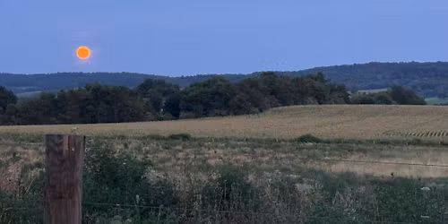 Lynn Township Spring Clean Up Day 