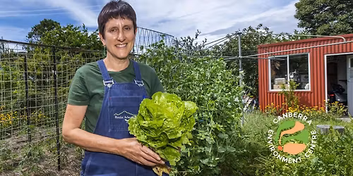 Ainslie Urban Farm - Afternoon Tour