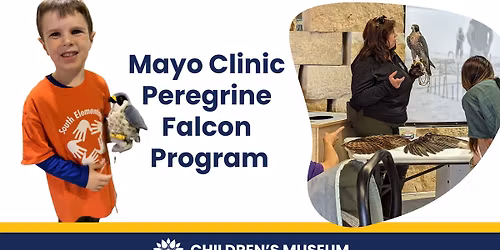 Mayo Clinic Peregrine Falcon Program