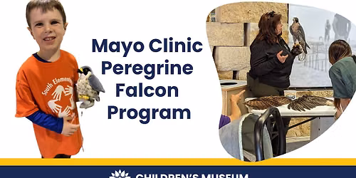 Mayo Clinic Peregrine Falcon Program