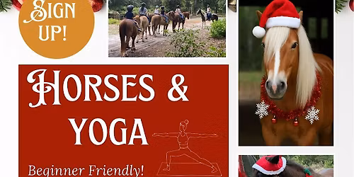 Horses & Yoga