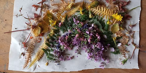 Nature Tots