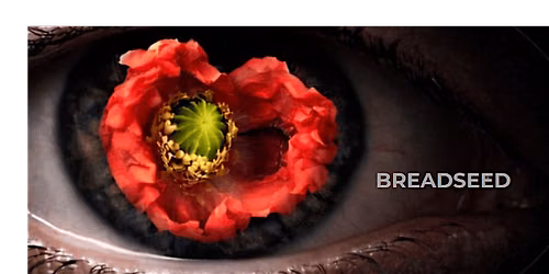 Screening of short film Breadseed and Q&A with filmmaker Linda Carmichael