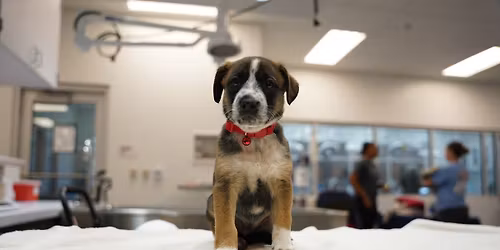 Low-Cost Marietta Vaccine Clinic 