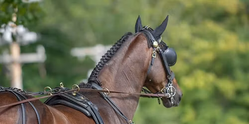 SNECDA Year End Potluck and Auction