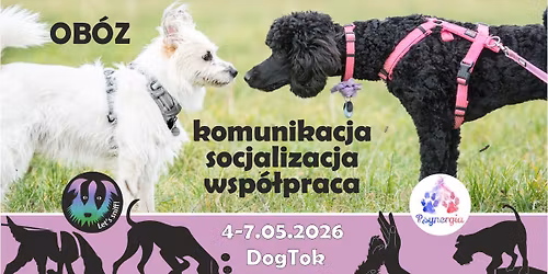  [BRAK MIEJSC] OB\u00d3Z: komunikacja, socjalizacja, wsp\u00f3\u0142praca - Let\u2019s sniff i Psynergia