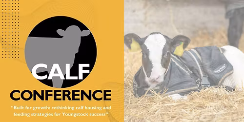 Calf Conference