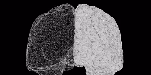 The Bilingual Brain: Unlocking Nature\u2019s Superpower