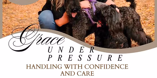 Grace Under Pressure: Handling with Confidence & Care 