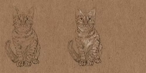 Cat Drawing and Construction with Michael Rios